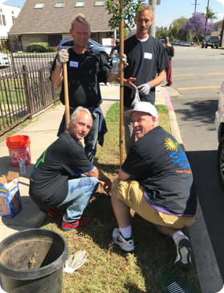 A group of volunteers planing a tree