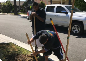 two volunteers holding shovels planting in a yard