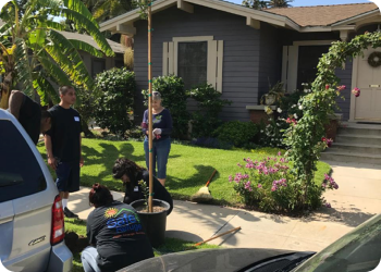 Volunteers planting a tree in front of a house